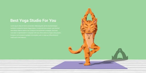 Katze praktiziert Yoga — Stockvektor