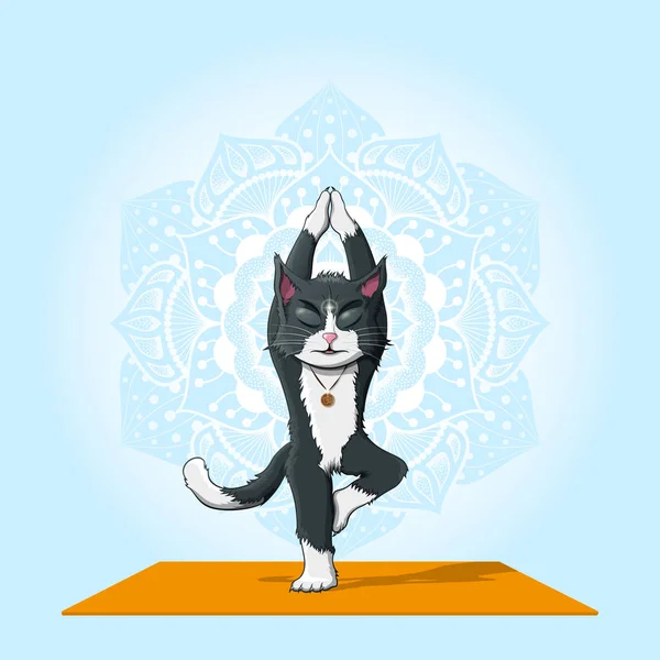 Kucing berlatih yoga - Stok Vektor