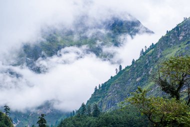Himalayalar 'ın sisle kaplı dağlarının resmi