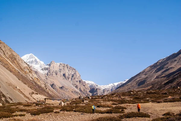 Gruppo di viaggiatori cammina sul sentiero in Himalaya . — Foto Stock