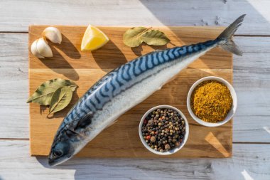 Taze çiğ uskumru balığı.