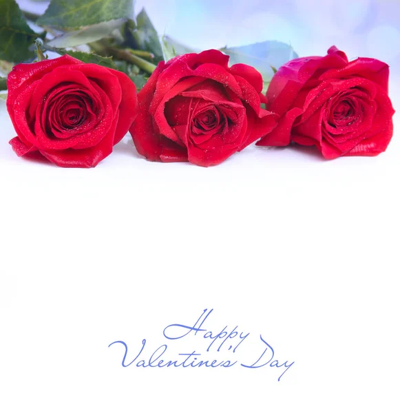 Valentinky den blahopřání s růží — Stock fotografie