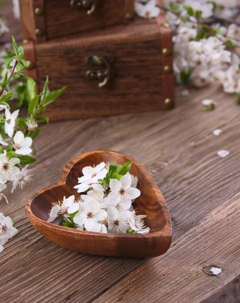 Cherry blossoms in bowl in shape of heart — Stock Photo, Image