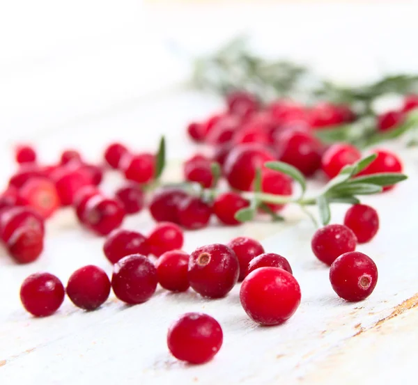 Fresh cranberries and rosemary — Stock Photo, Image