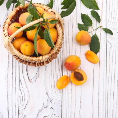 yeşil yaprakları ile taze kayısı 