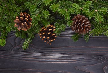 Çam ağacı ve koniler ile Noel arka plan