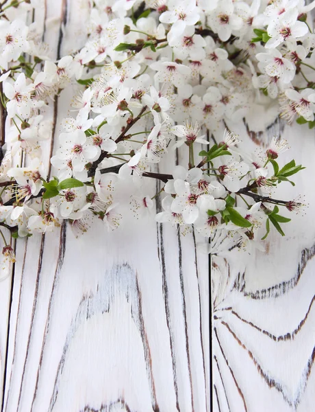 Flor de espino blanco sobre fondo rústico de madera —  Fotos de Stock