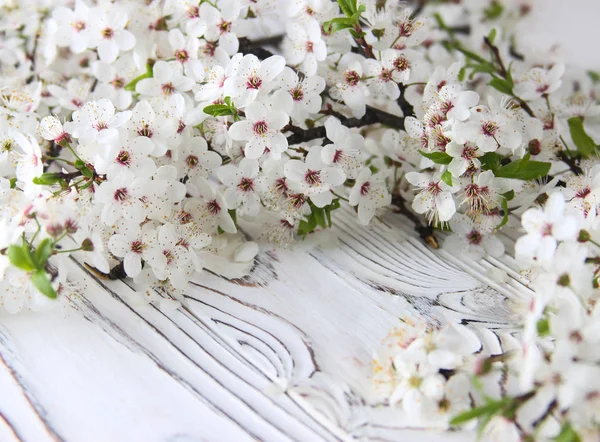 Flor de espino blanco sobre fondo rústico de madera —  Fotos de Stock