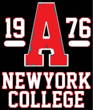 New york Varsity Sport yaratıcı grunge t-shirt grafik tasarım, v