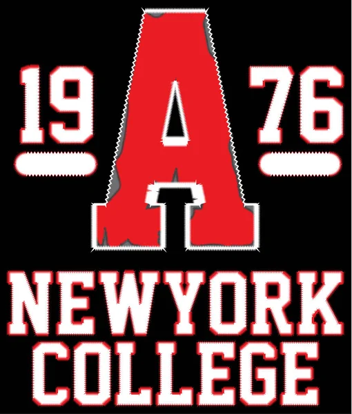 New york Varsity Sport Diseño gráfico de camiseta grunge creativa, v — Archivo Imágenes Vectoriales