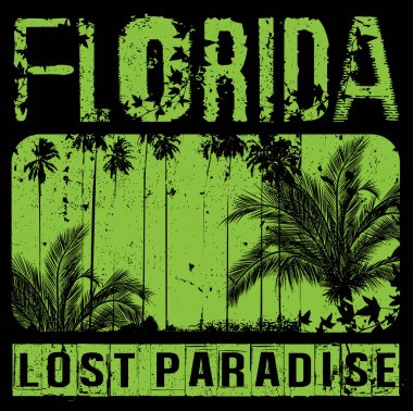 Tropikal gün batımında beach florida