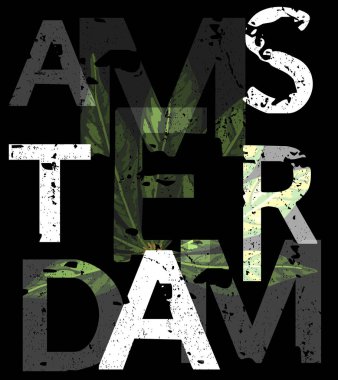 Amsterdam çiçek illüstrasyon. T gömlek grafik. Vektörel çizimler