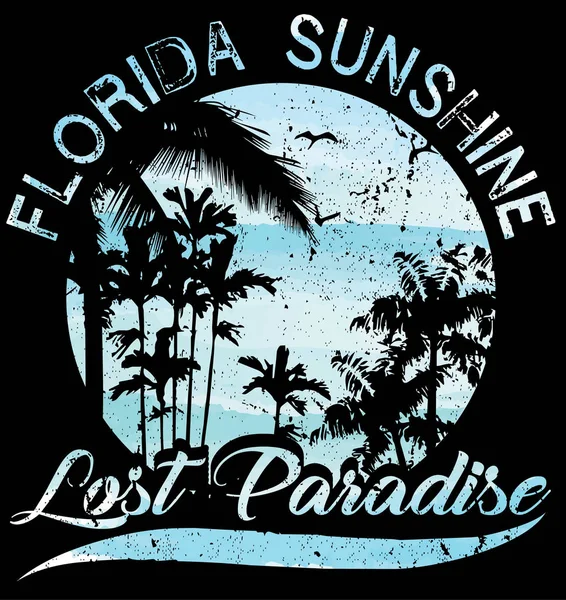 Západ slunce v tropical beach florida — Stockový vektor