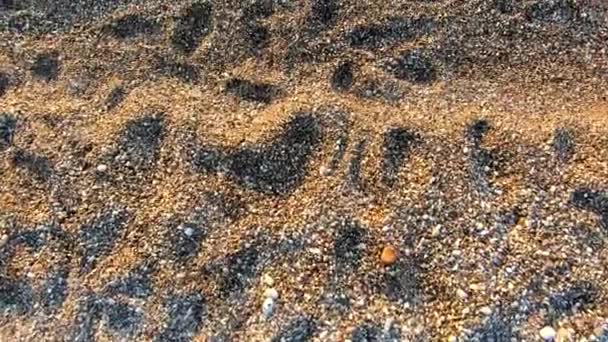 Toller Blick Auf Den Strand Erstaunlicher Sonnenuntergang — Stockvideo