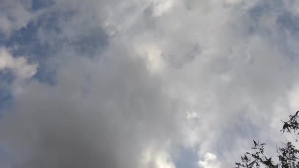 Timelapse Céu Nuvem 60Fps — Vídeo de Stock