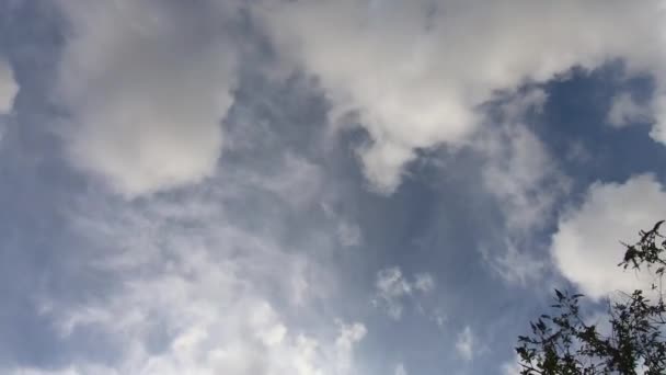 Временное Небо Облачность 60Fps — стоковое видео