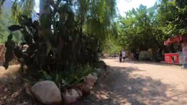 TURKEY ANTALYA OLİMPOS 05-09-2019 Zaman aşımı, antika pazarında yürüyor