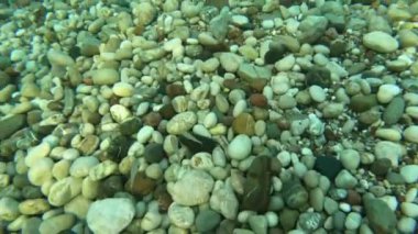 İnanılmaz mavi denizin sualtı manzarası