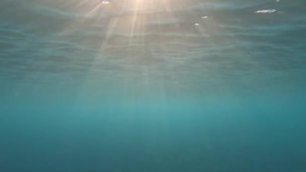 Unterwasserszene Des Erstaunlichen Blauen Meeres — Stockvideo