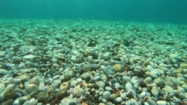 Cena Subaquática Incrível Mar Azul — Vídeo de Stock