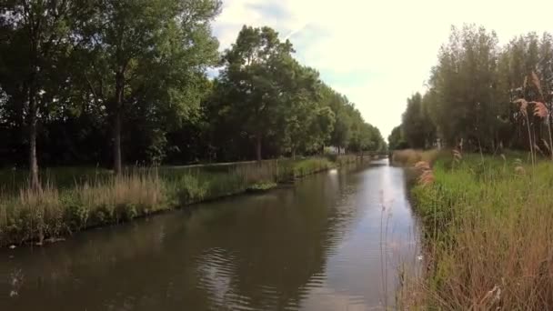 Grüner See Holzbrücke Malerische Natur — Stockvideo