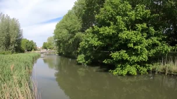 Зеленое Озеро Деревянный Мост Живописная Природа — стоковое видео