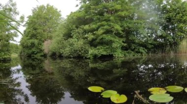 Güzel doğa, yeşil park 4K 