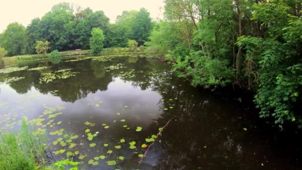 Belle Nature Parc Verdoyant — Video