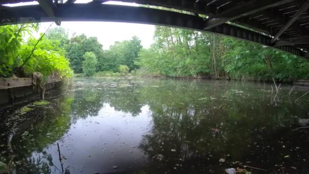 Schöne Natur Grüner Park Unter Der Brücke — Stockvideo