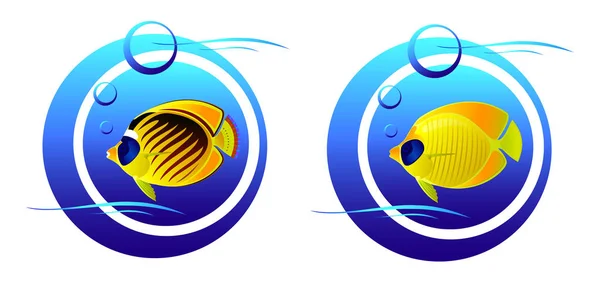 海の空気のボールで様式化された魚のセットします。 — ストックベクタ