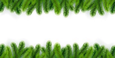 Kenarlarında Noel ağacı dalları olan beyaz arkaplan