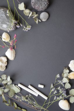 hayat stile, sanat, yaratıcı mockup. kabukları, kurutulmuş çiçek, taş ve siyah arka plan üzerine beyaz tebeşir. Üstten Görünüm, düz yatıyordu. 