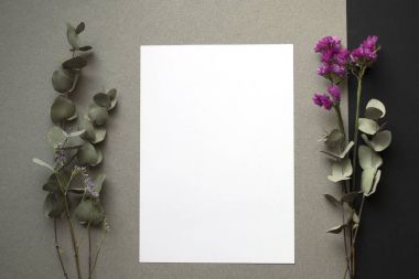 hayat stile, sanat, yaratıcı mockup. Okaliptüs, kuru çiçekler, taşlar, zarf, mektuplar, küçük cam şişe, gözlük ve siyah arka plan üzerine beyaz kağıt. Üstten Görünüm, düz yatıyordu. 