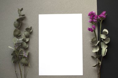 hayat stile, sanat, yaratıcı mockup. Okaliptüs, kuru çiçekler, taşlar, zarf, mektuplar, küçük cam şişe, gözlük ve siyah arka plan üzerine beyaz kağıt. Üstten Görünüm, düz yatıyordu. 