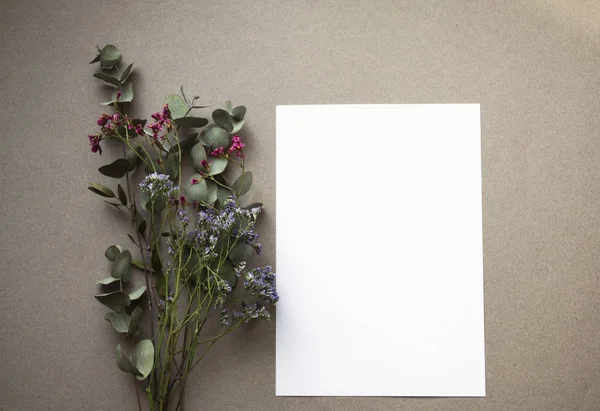 Livet Stile Konstnärlig Kreativ Mockup Eukalyptus Torkade Blommor Stenar Kuvert — Stockfoto