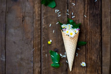  Papatyalar Waffle koni