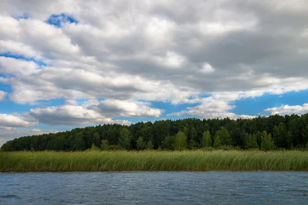 Forêt, lac et ciel bleu — Photo