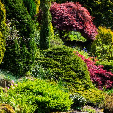  İlkbaharda kamu İngiliz Bahçesi