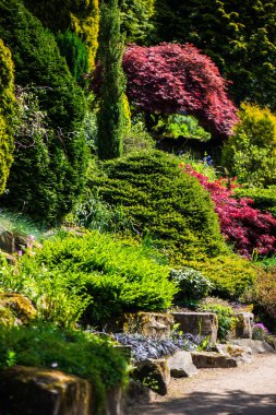  İlkbaharda kamu İngiliz Bahçesi