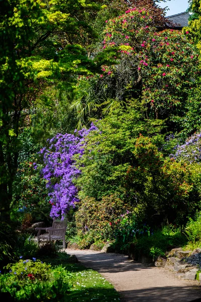 Frühling im öffentlichen Englischen Garten — Stockfoto