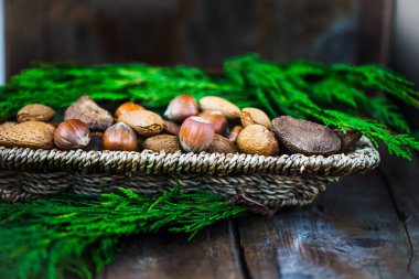 Fındık ve Xmas ağacı dalları