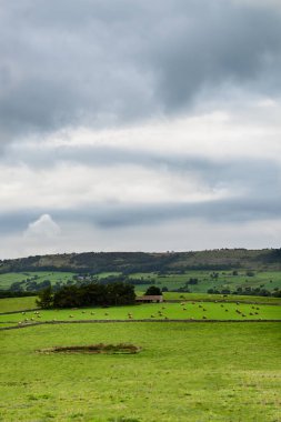 Bakewell Peak District Milli Parkı'nda