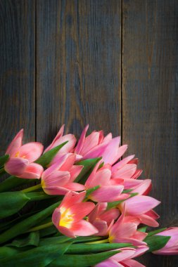 Ahşap koyu arka plan üzerinde Pembe Lale demet