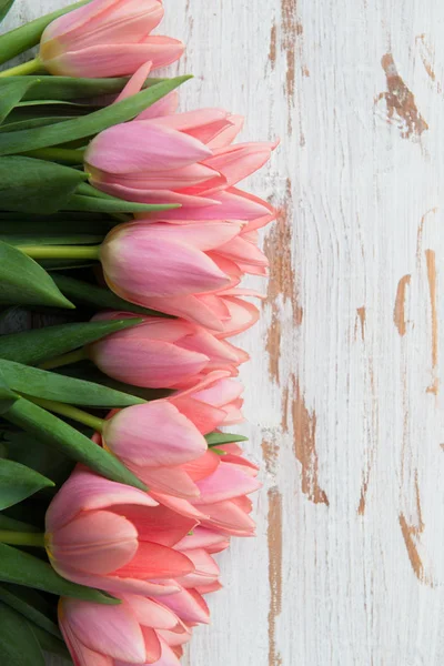 Bos van roze tulpen — Stockfoto