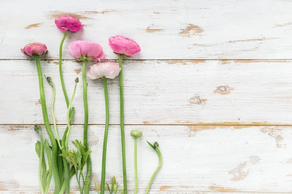 Букет рожевий Ranunculus, Buttercup квіти — стокове фото