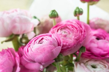 Pembe Düğünçiçeği, düğün çiçeği çiçek buketi