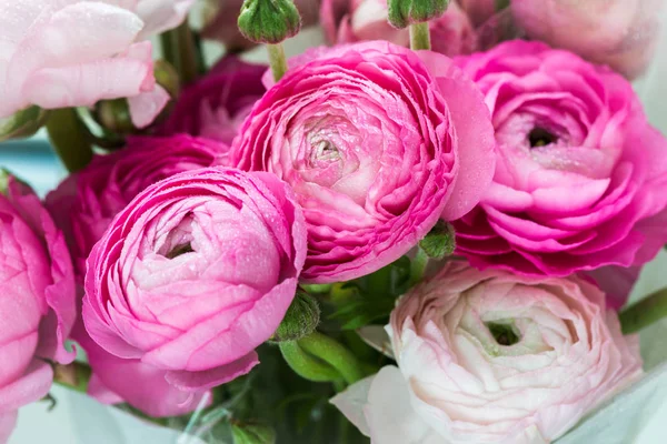 Bouquet of Pink Ranunculus, Buttercup Flowers — Stock Photo, Image