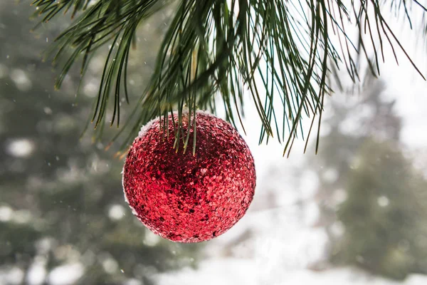 Karácsonyi dekoráció a Snowy Forest — Stock Fotó