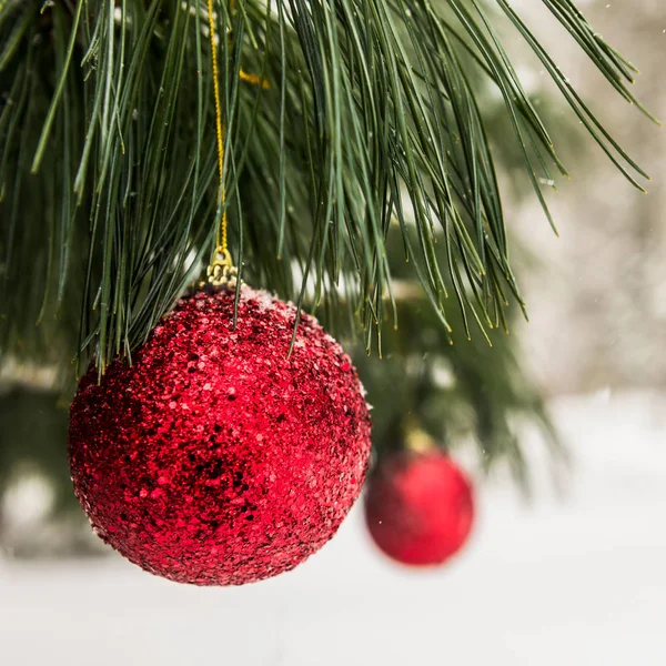 Kerstdecoratie in Snowy Forest — Stockfoto