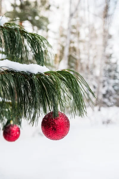 Decoração de Natal em Floresta de Neve — Fotografia de Stock
